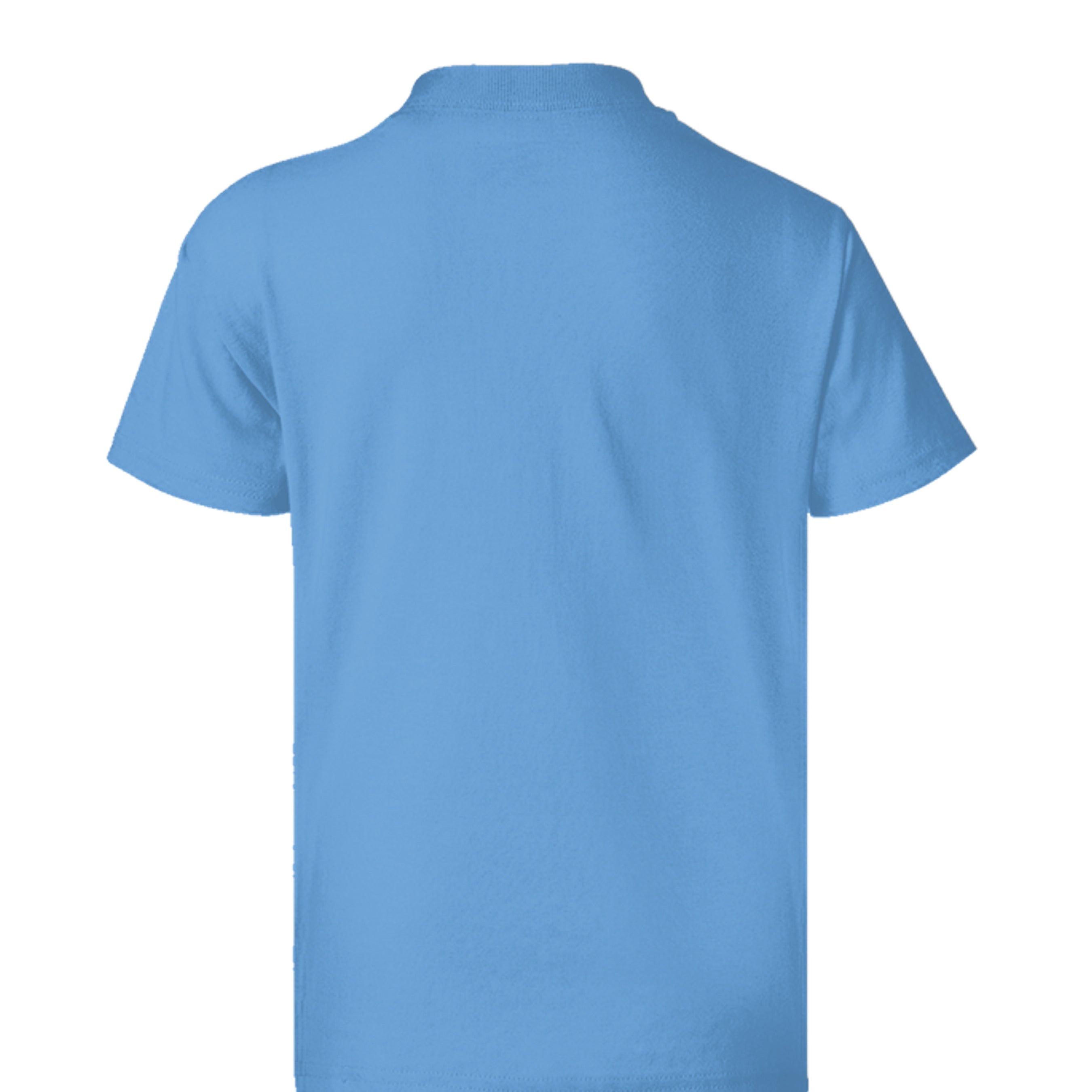 CAROLINA BLUE - 5370 - BACK